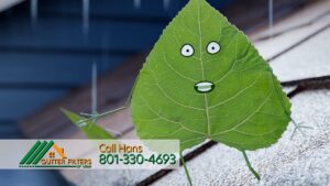 3D animation video example — character-driven product explainer for Gutter Filters of Utah